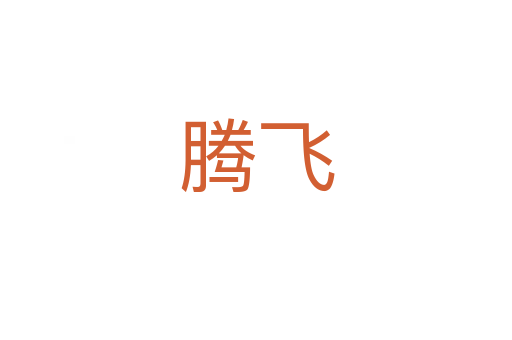 腾飞